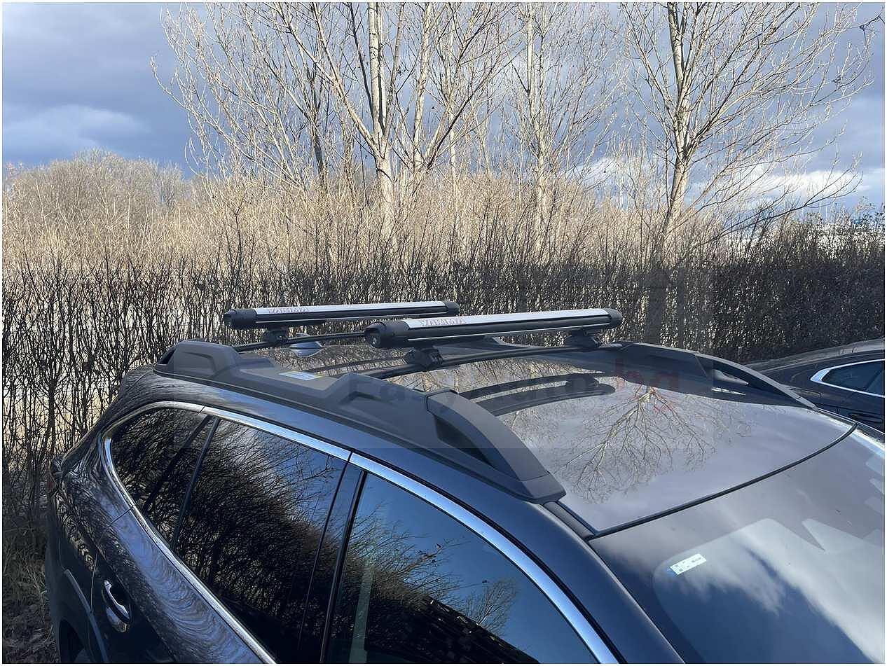 Аеродинамичен Ски багажник Yakima Fat Cat Evo 6 Silver