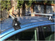 Алуминиеви греди Cruz Oplus AT за Ford Focus 1998-2005 (седан и хечбек)